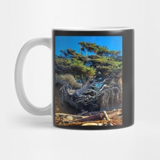 Kalaloch Tree of Life 2 Mug